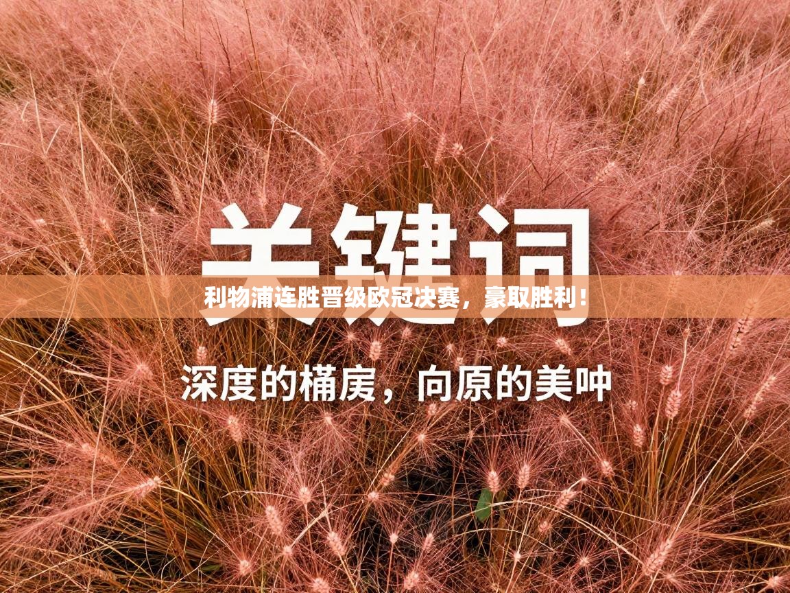 利物浦连胜晋级欧冠决赛,豪取胜利! 第1张